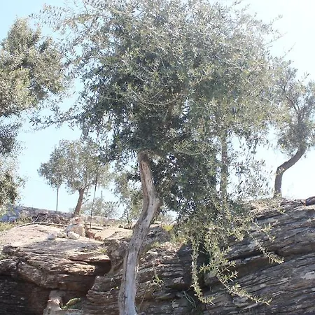 מלון Olive Garden Retreat Milas