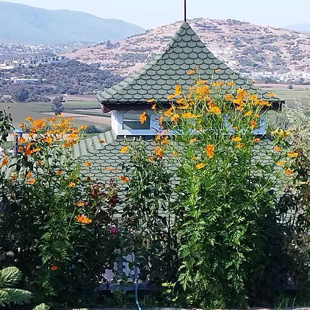 Olive Garden Retreat Hotell *