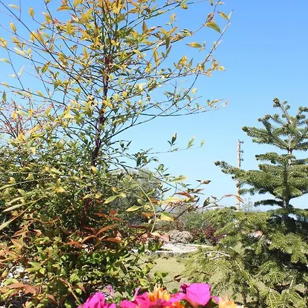 Olive Garden Retreat Milas