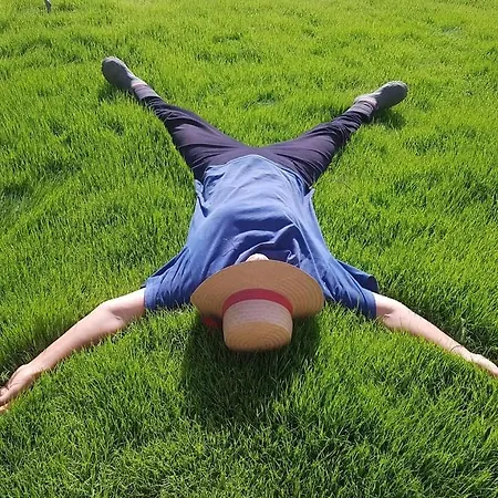 Olive Garden Retreat מלון