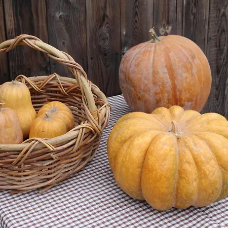 ホテル Olive Garden Retreat