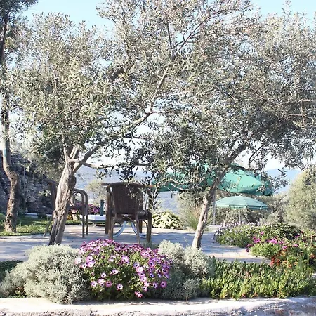 Olive Garden Retreat Hotell *