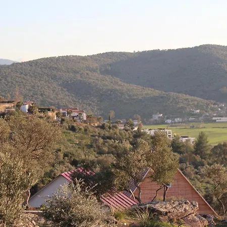 Отель Olive Garden Retreat *