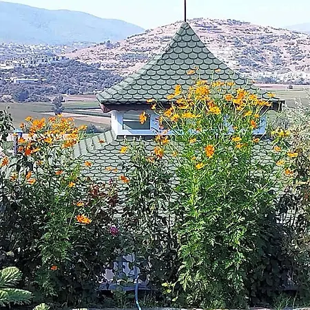 Olive Garden Retreat מלון Milas