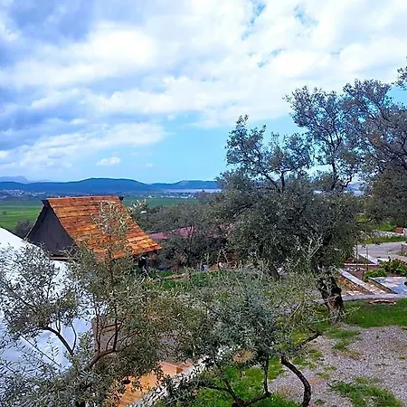 Olive Garden Retreat מלון Milas