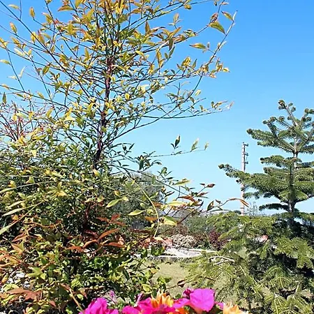 ホテル Olive Garden Retreat *