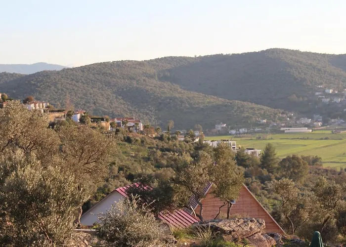 호텔 Olive Garden Retreat *