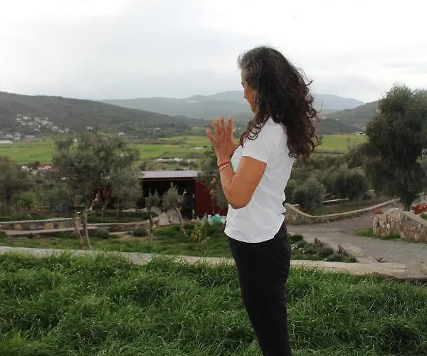 Olive Garden Retreat *