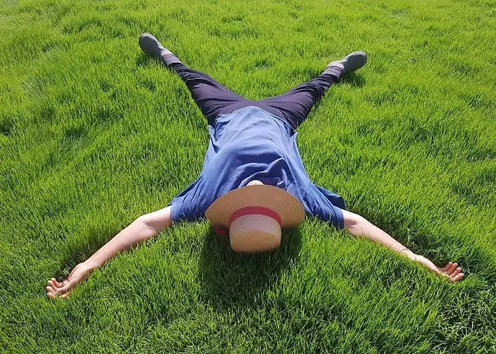 Olive Garden Retreat 호텔