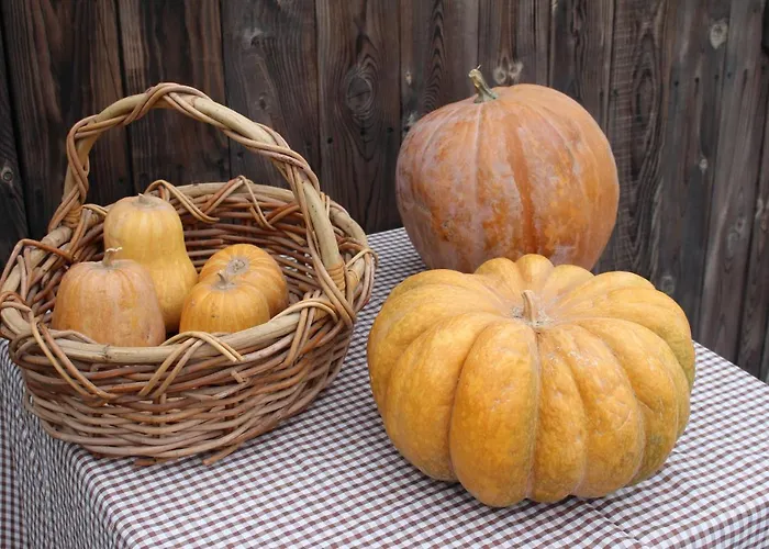 호텔 Olive Garden Retreat