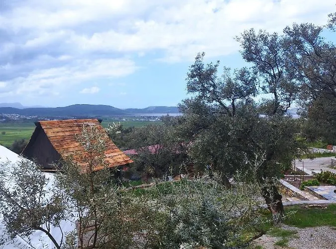 Olive Garden Retreat