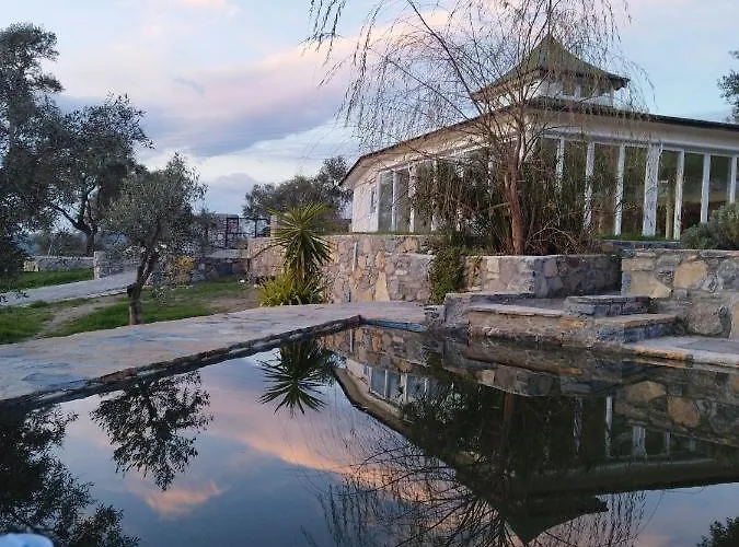 Olive Garden Retreat